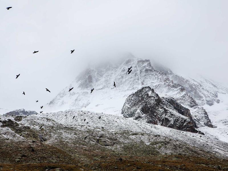 feedback screenshot 1